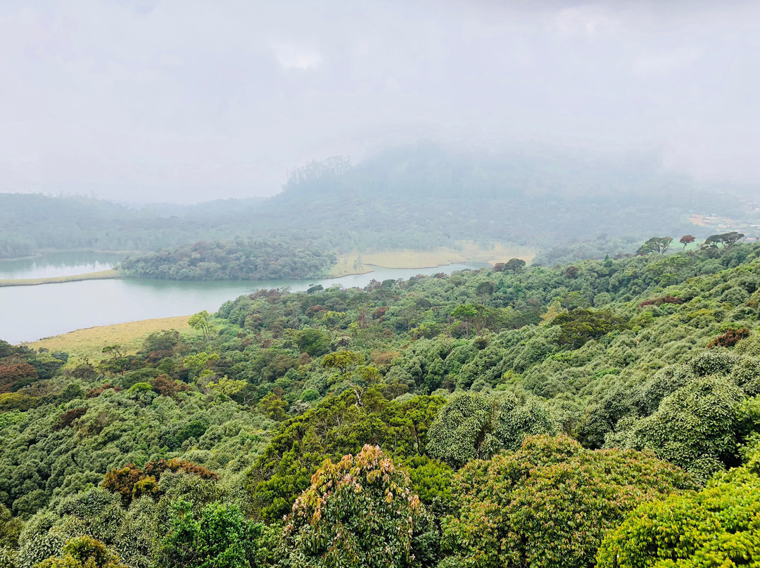 Tranquil Villa主图