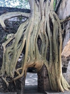 Hotel & Spa Hacienda de Cortes主图