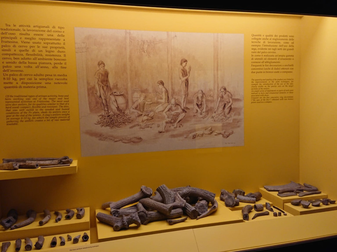 Museo Archeologico Nazionale di Fratta Polesine景点图片