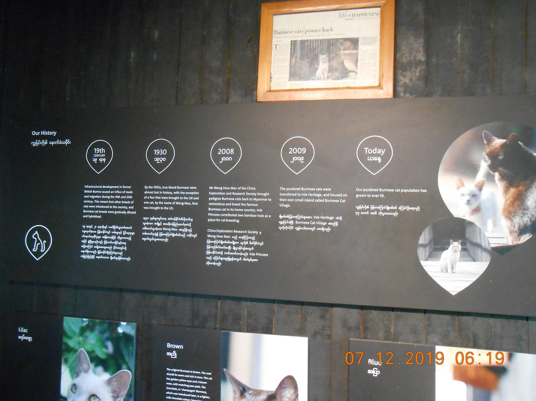 Inle Heritage-Nyaungshwe必去景点