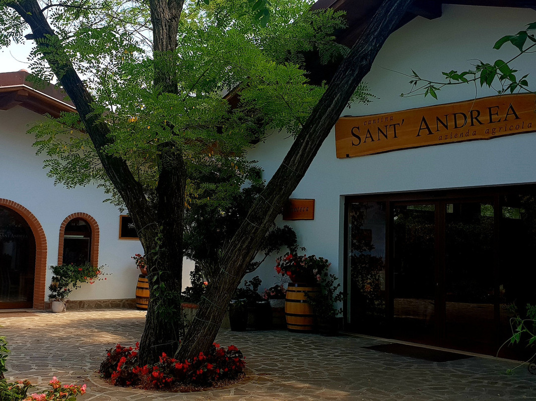 Cantina Sant'Andrea Azienda Agricola景点图片