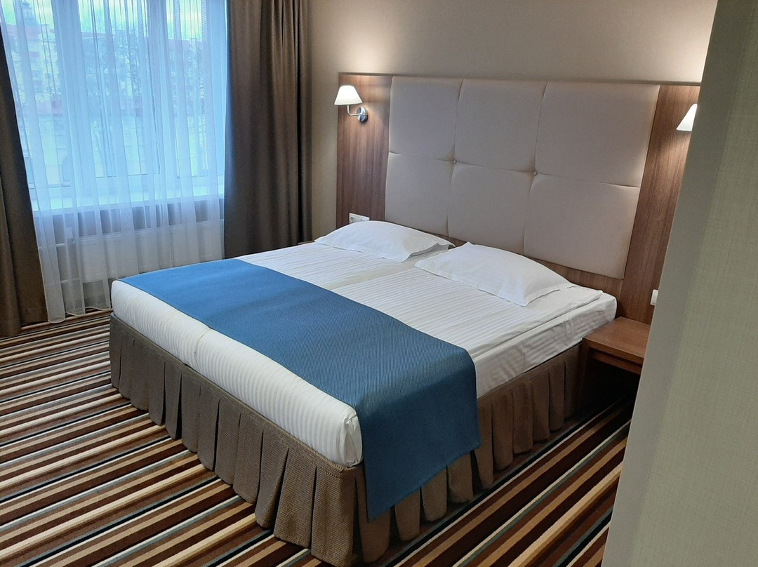 Nesvizh Hotel主图