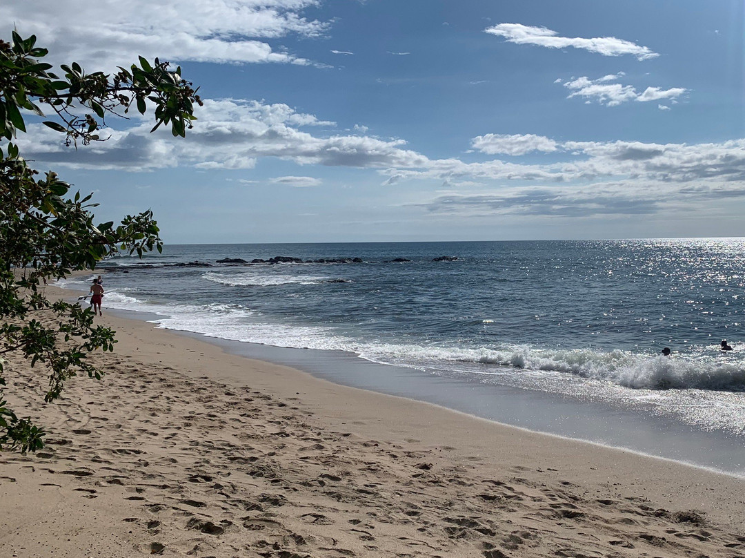 Playa Langosta旅游攻略图片