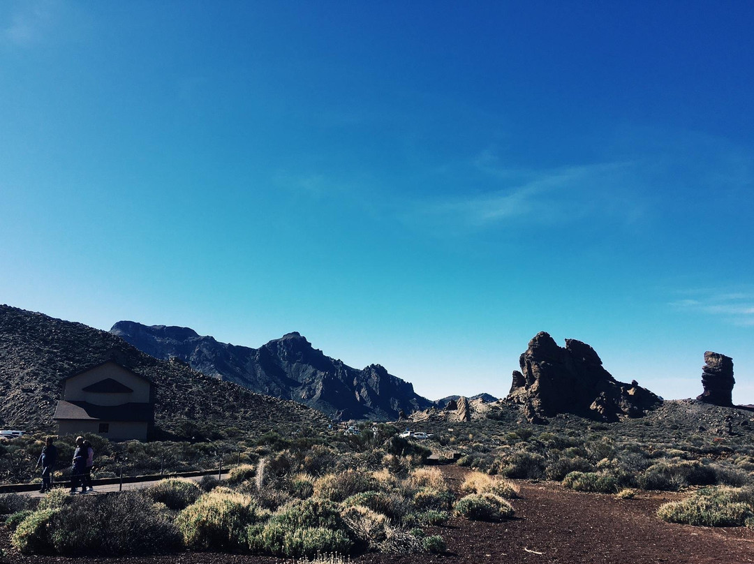 Buggy Quad Tenerife-美洲海滩必去景点
