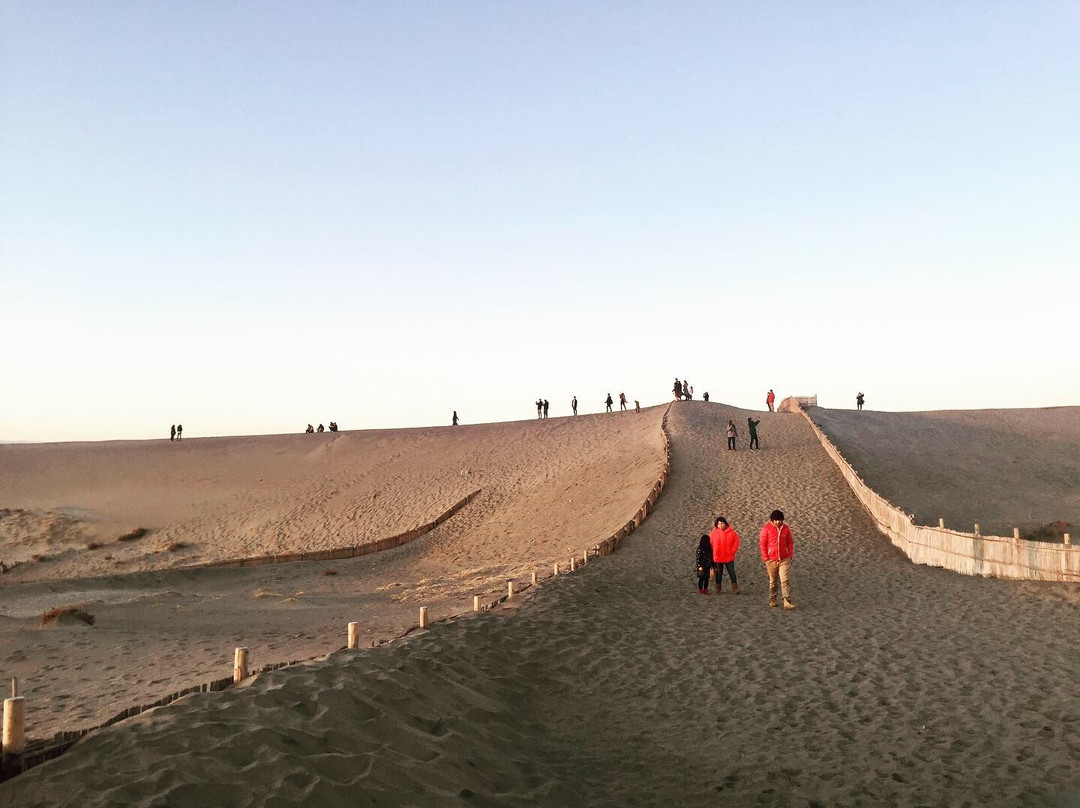 Nakatajima Sand Dunes景点图片