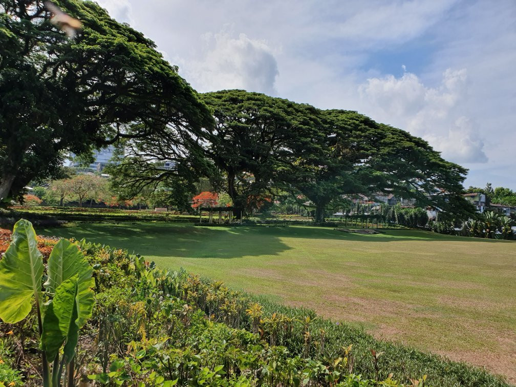 Commonwealth War Cemetery-安汶必去景点