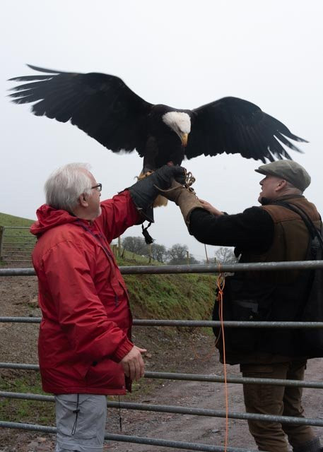Dartmoor Hawking Falconry Experience景点图片