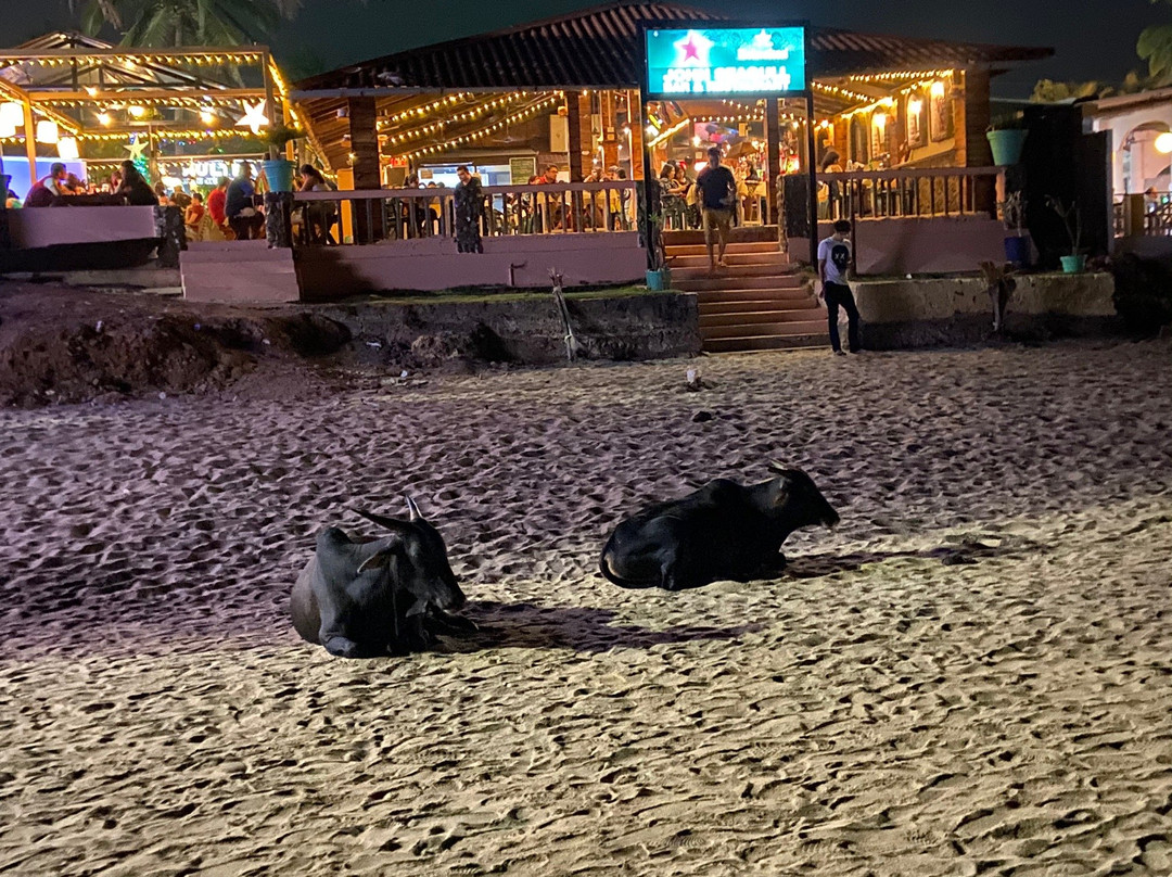 Beach Bay Cottages主图