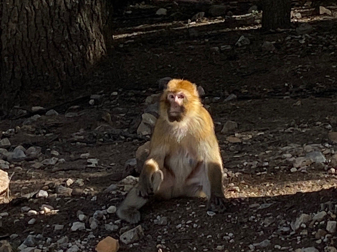 Pure Maroc Journey Design-非斯必去景点