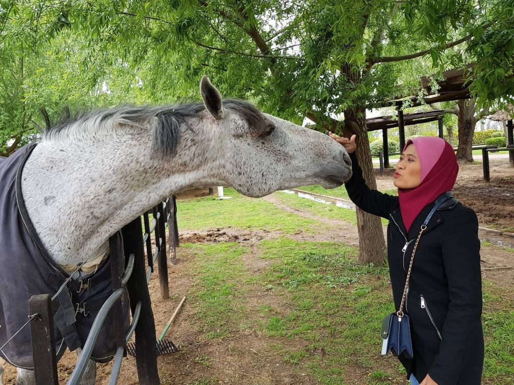 Caballos a la Par-布宜诺斯艾利斯必去景点