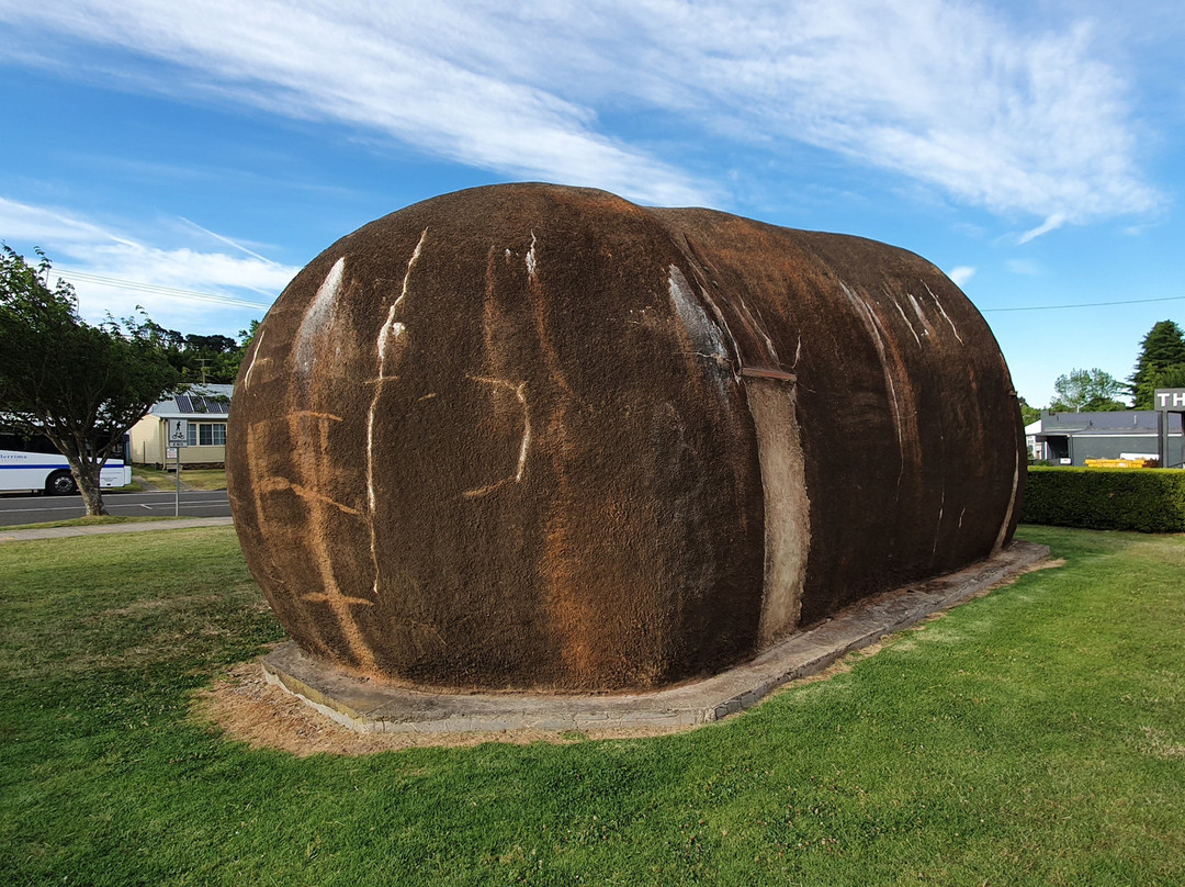 The Big Potato-Robertson必去景点