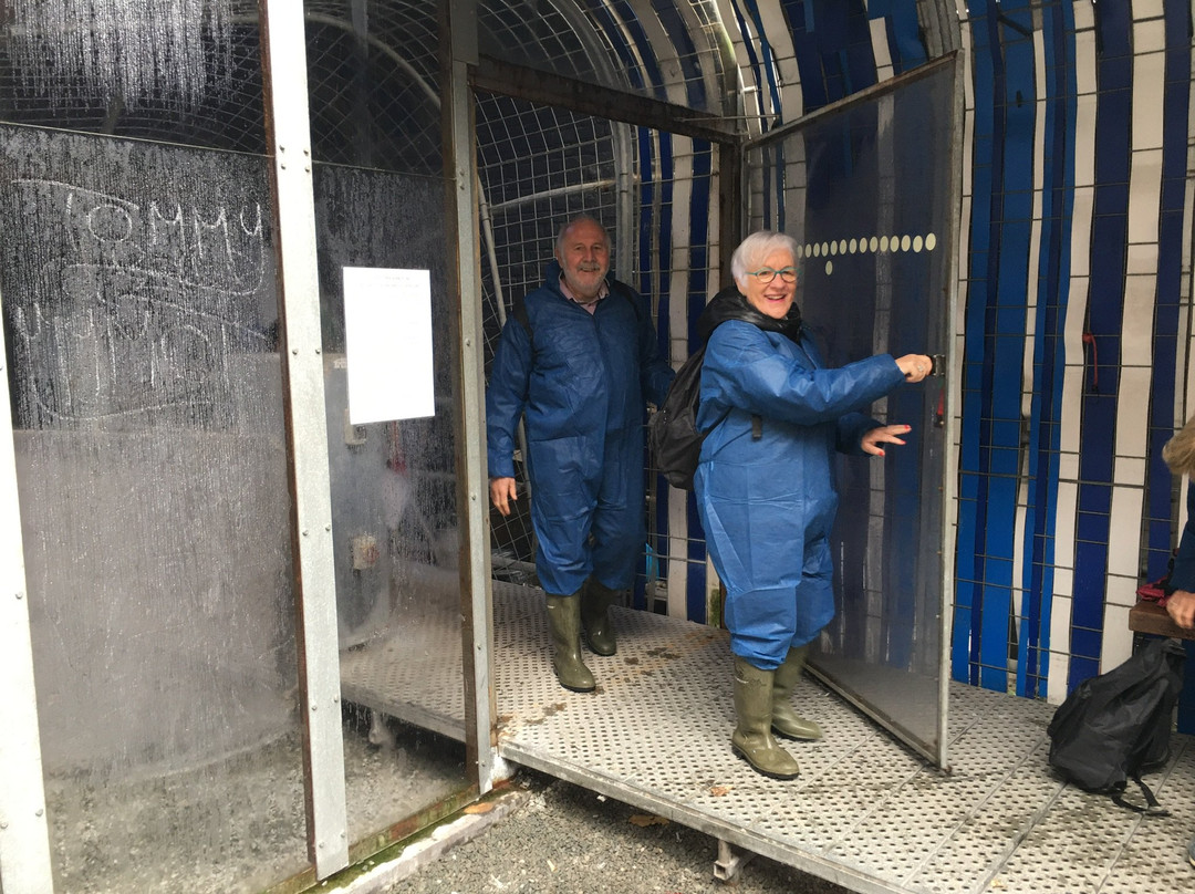 De Ruien-安特卫普必去景点