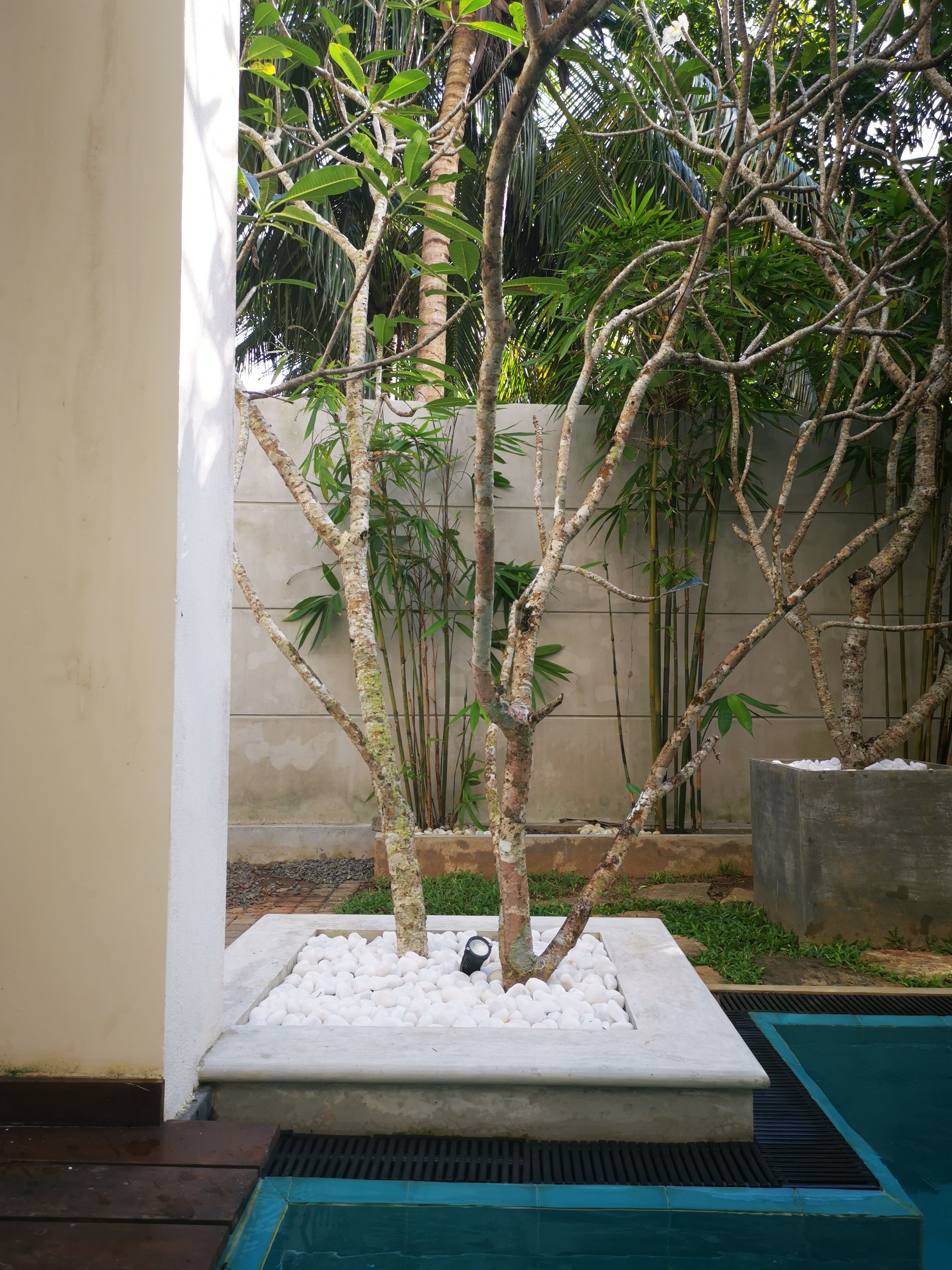 Anchorage Villa-官方