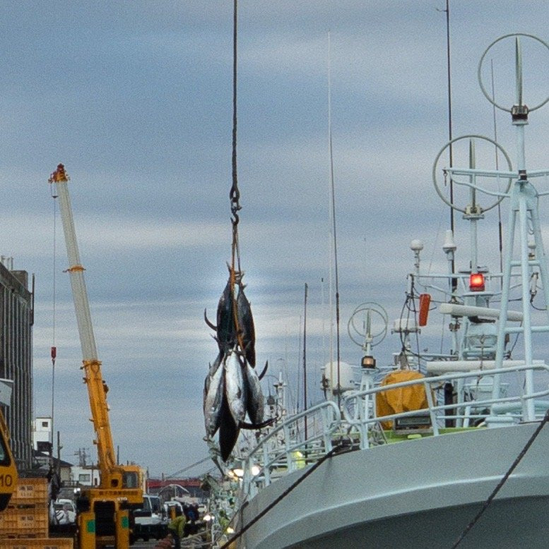 Choshi Fishing Port-铫子市必去景点