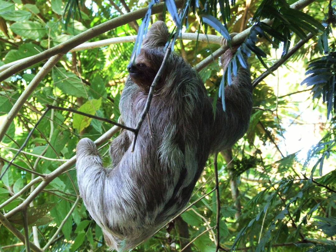 ATEC-旧港必去景点