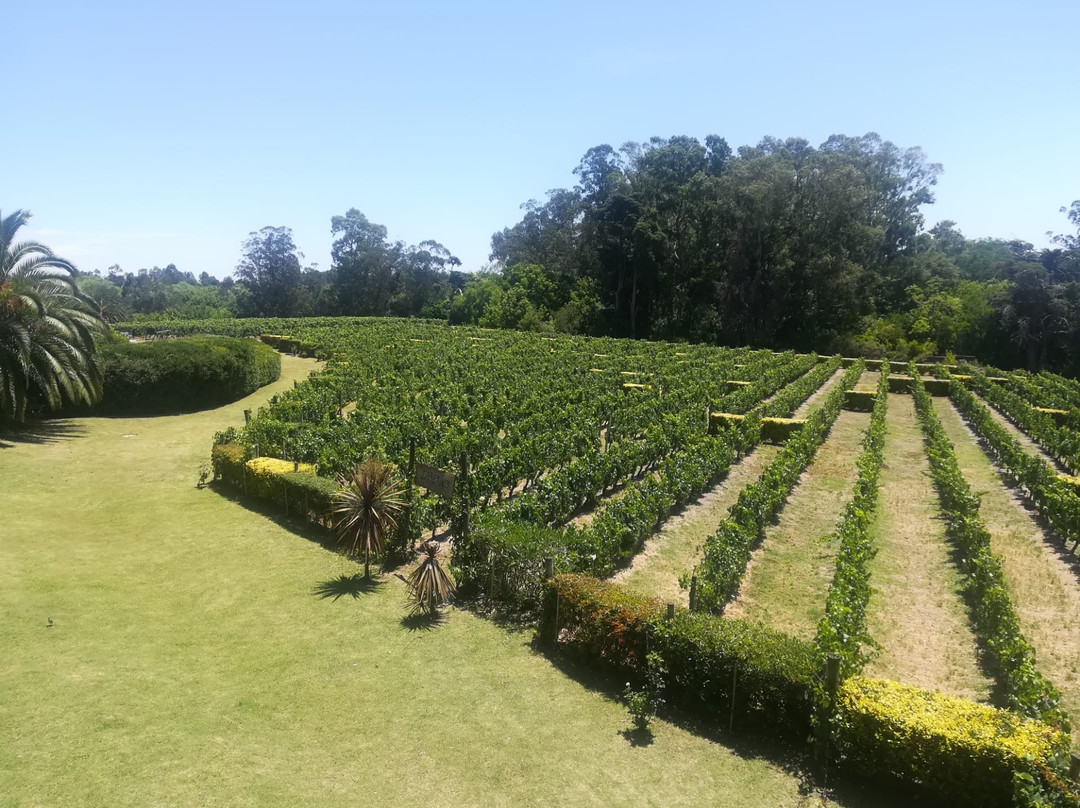 Flores Department旅游攻略图片