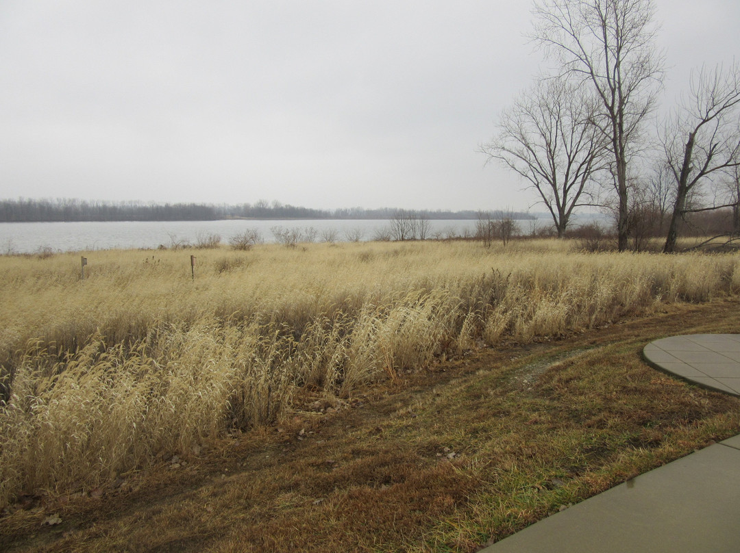 Riverlands Migratory Bird Sanctuary-West Alton必去景点