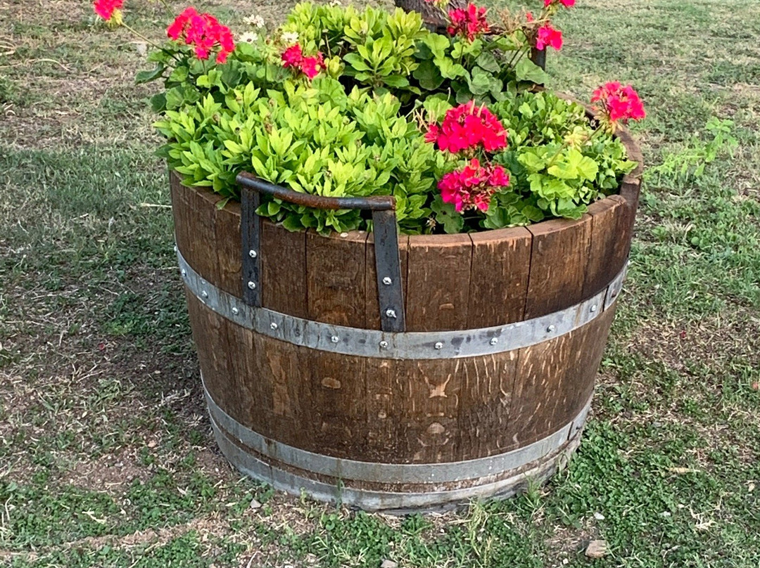 Posada Rural La Matilde主图