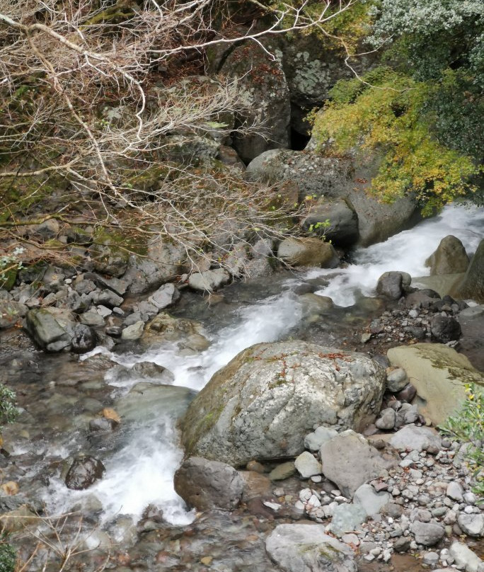 Otaki Falls景点图片