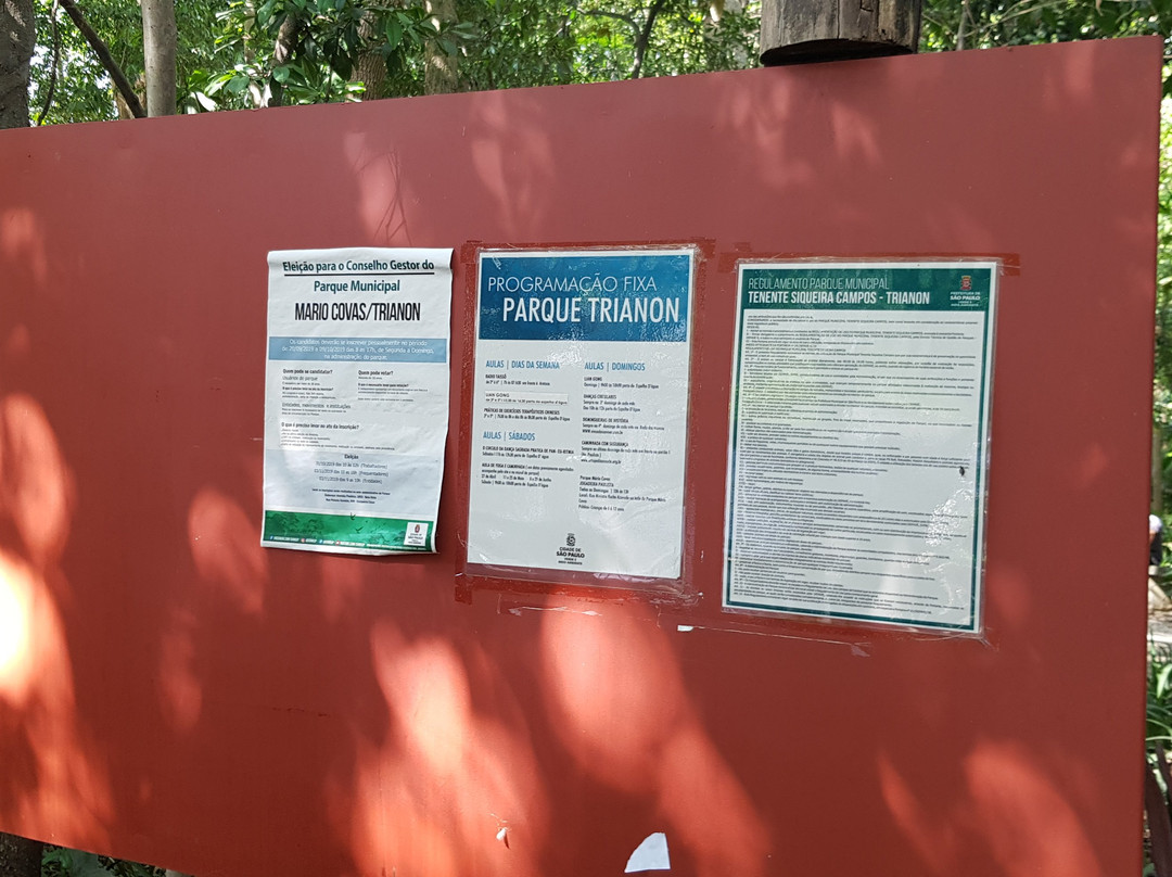 Tenente Siqueira Campos Park (Trianon)-圣保罗必去景点
