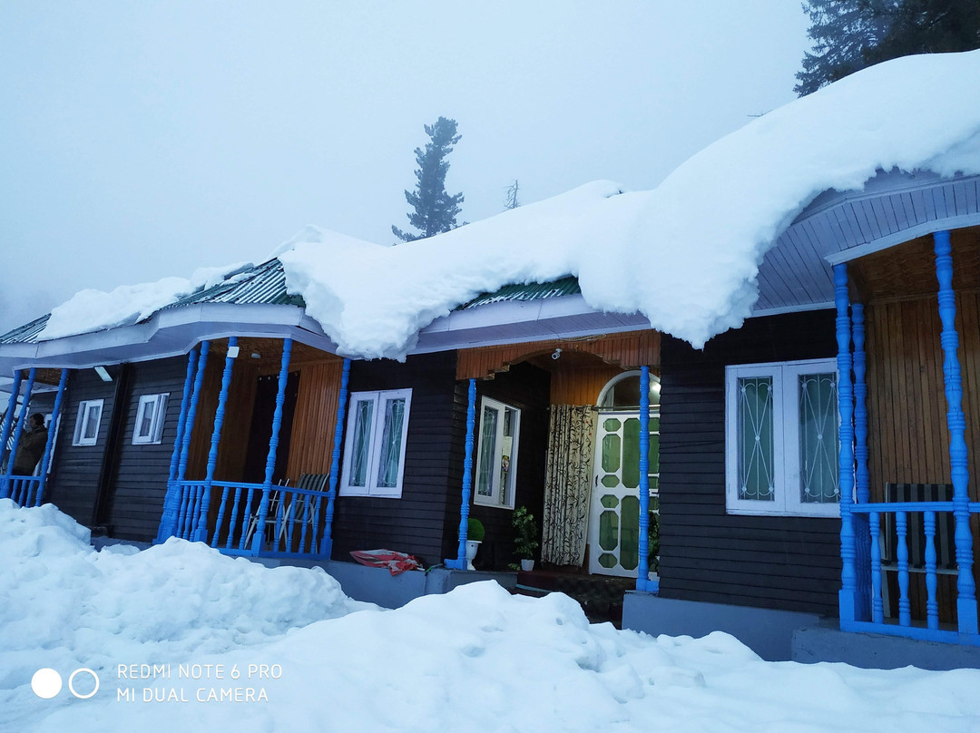 Pine View Resort主图