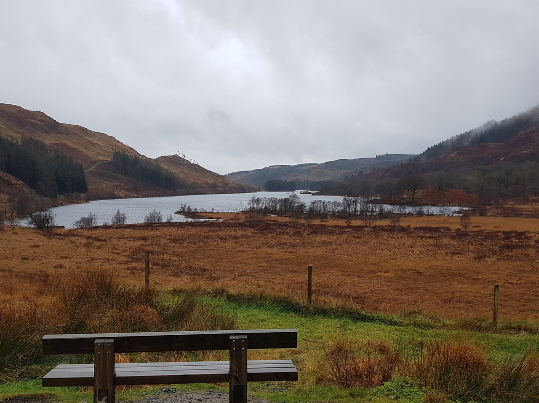 Loch Trool-Galloway Forest Park必去景点