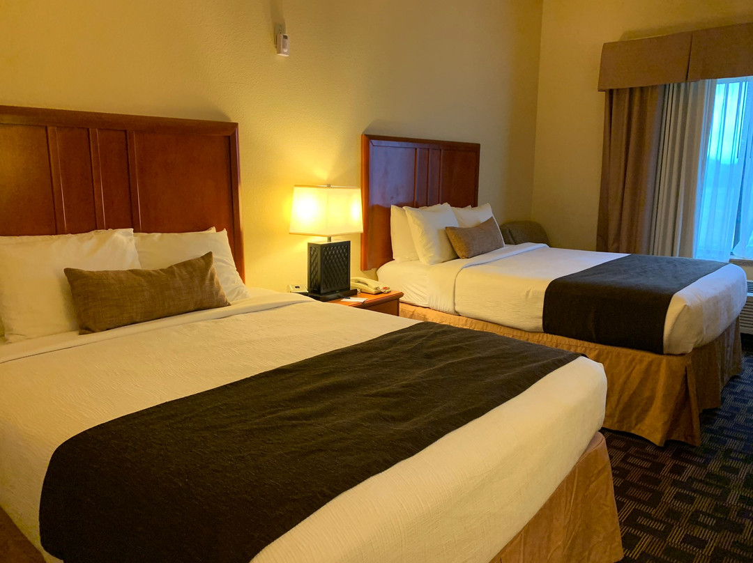 Comfort Inn & Suites主图