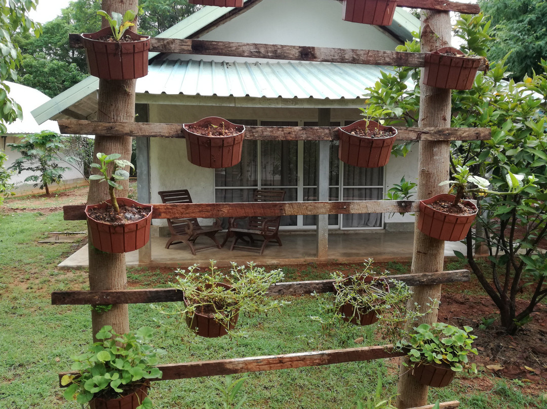 Rangiri Dambulla Resort主图