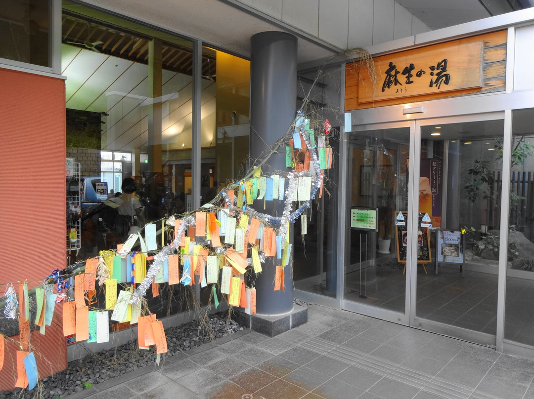 Tennen Hot Spring Asounoyu-长冈市必去景点