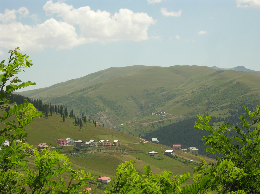 Kockayasi Tabiat Parki景点图片