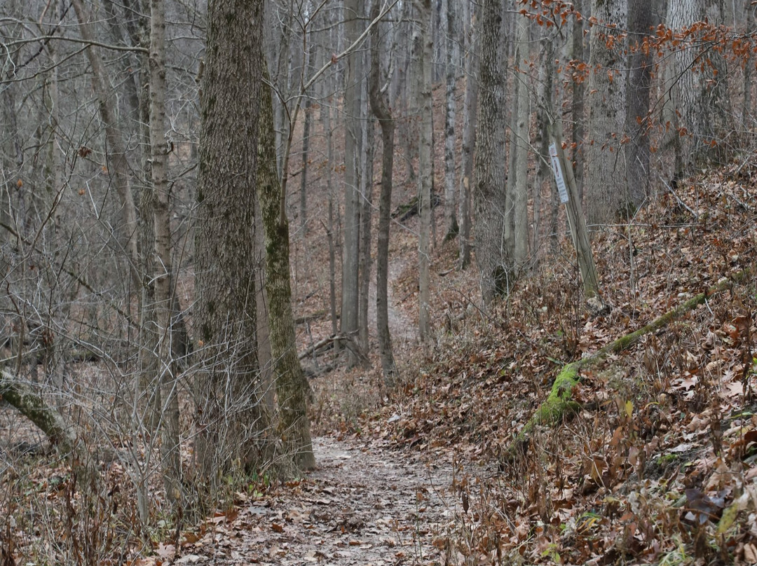 Fort Harrison State Park-印第安纳波利斯必去景点