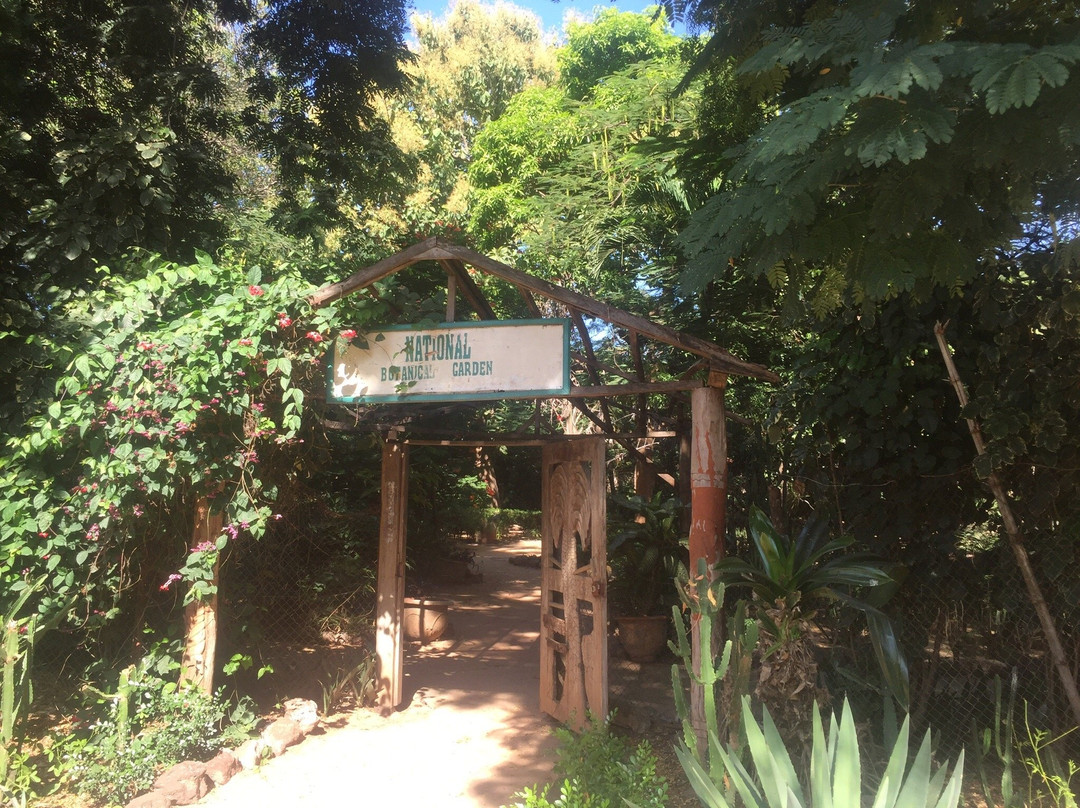 Bakau's Botanical Gardens景点图片