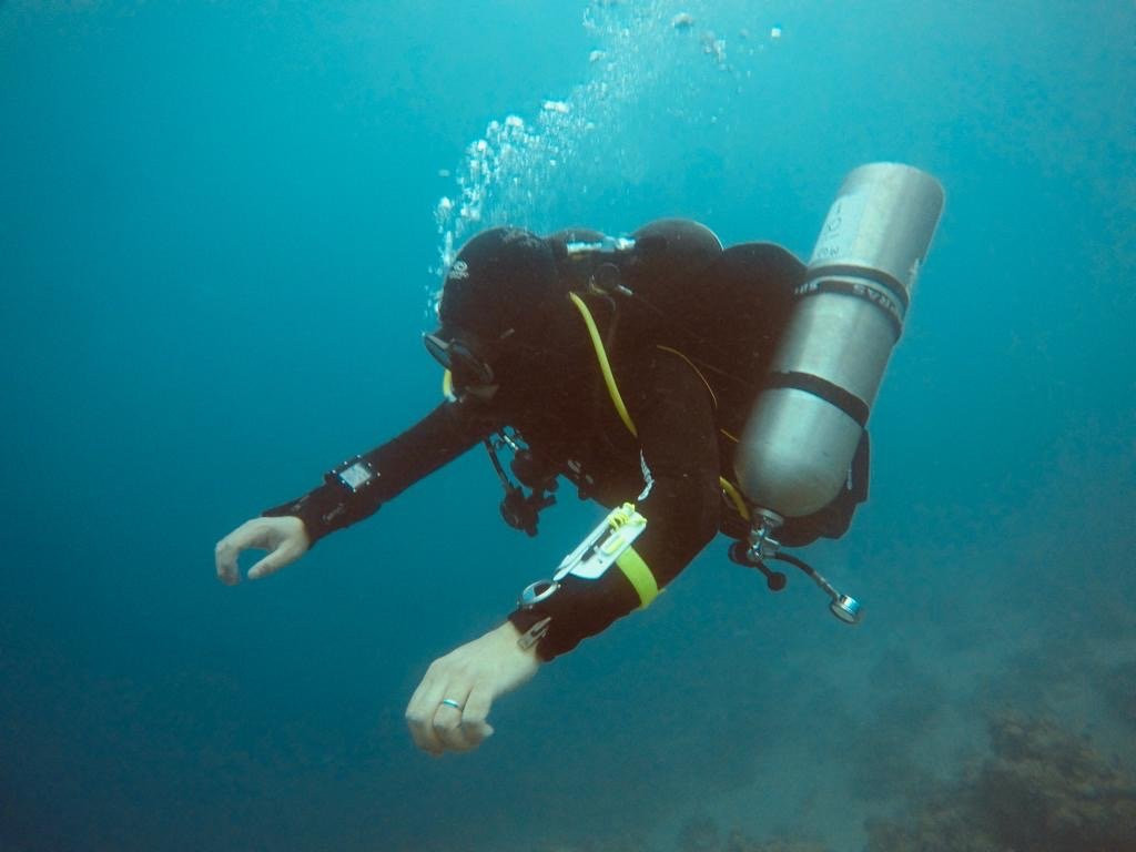 Dive Point Jeddah-吉达必去景点