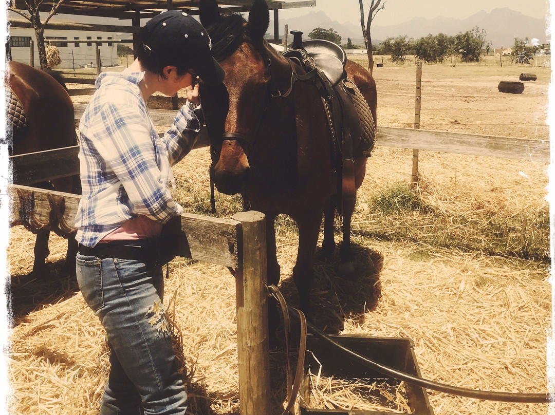 Horse Rides at Pete's-斯泰伦博斯必去景点