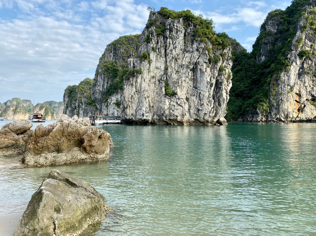 White Dolphin Cruises-河内必去景点