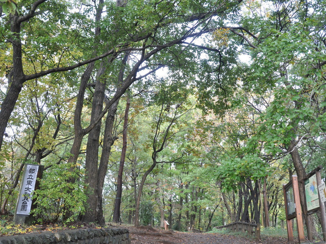 Higashiyamato Park-东大和市必去景点