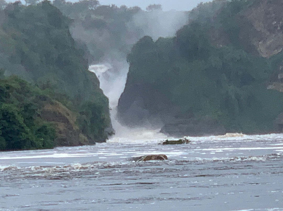 Murchison Falls National Park景点图片