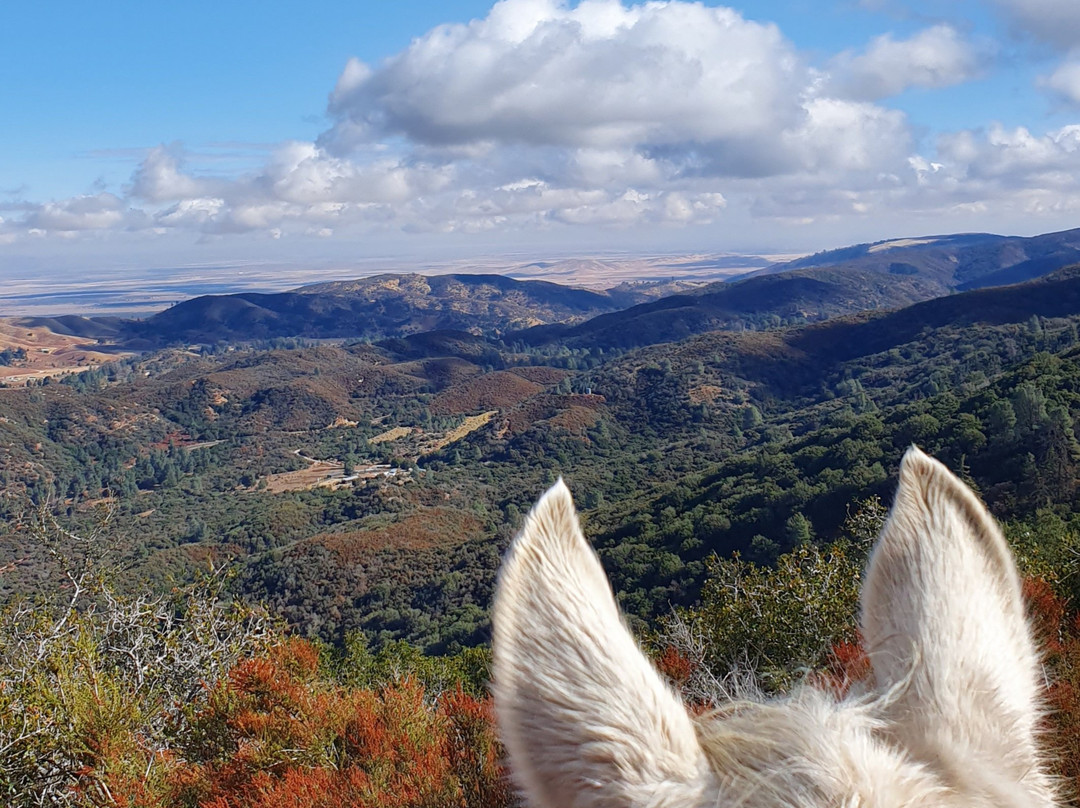 Running Horse Ranch-Lake Hughes必去景点