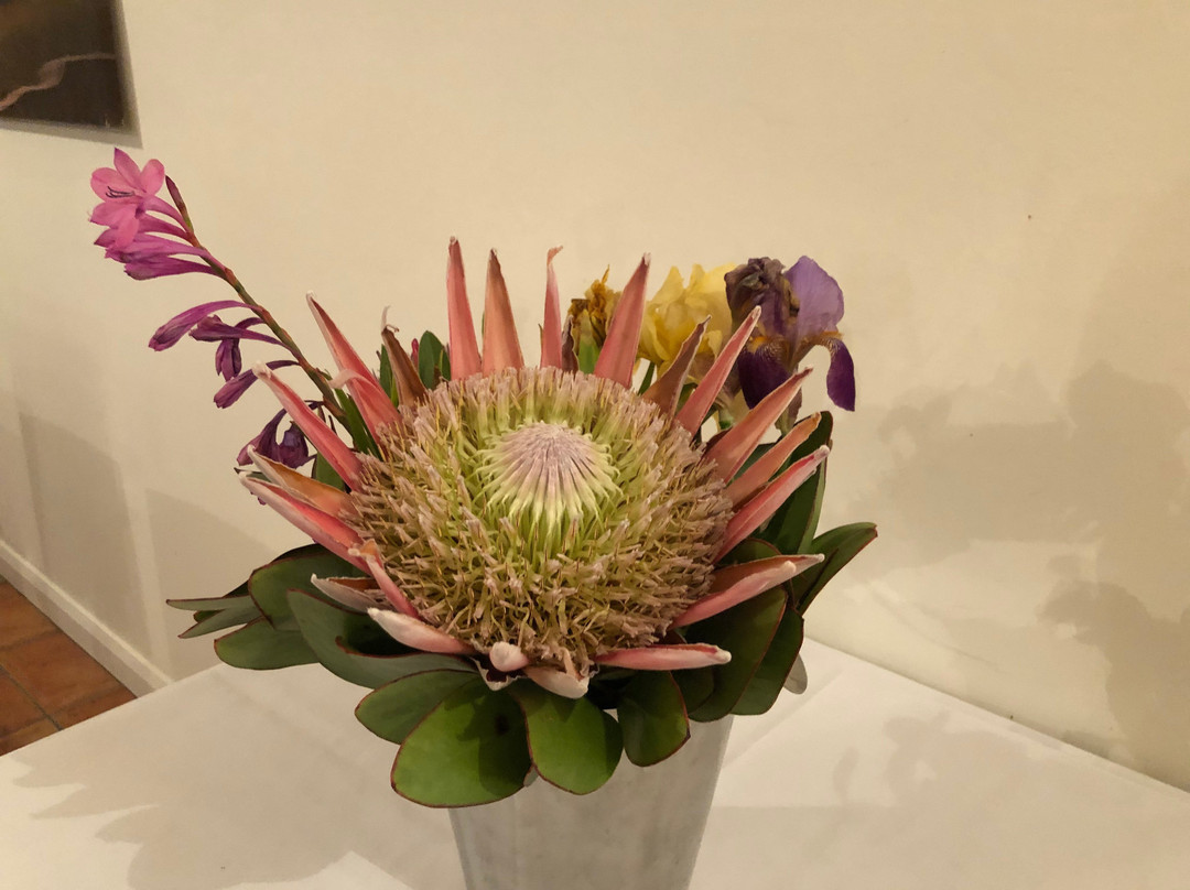 比舍诺海滨贝斯特韦斯特酒店主图