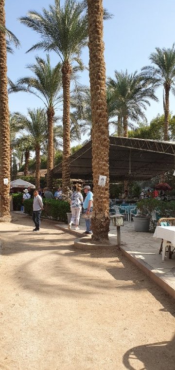 萨卡拉乡村俱乐部-浴室