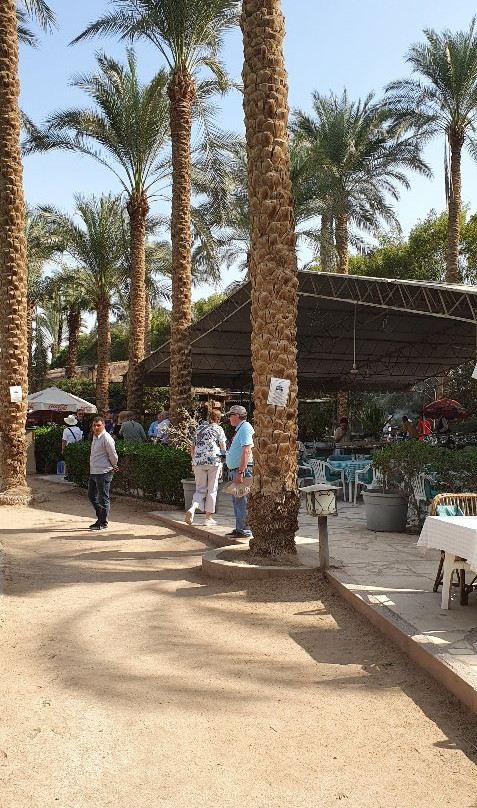 Sakkara Country Club主图