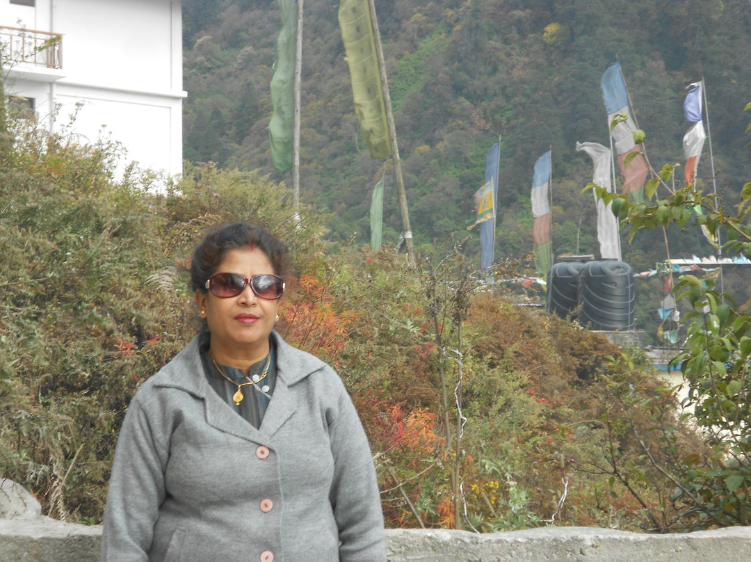 OYO 60097 Hill Hotel Lachung主图