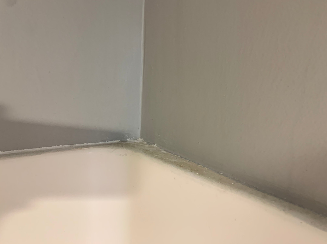 SureStay Plus By Best Western Sevierville主图