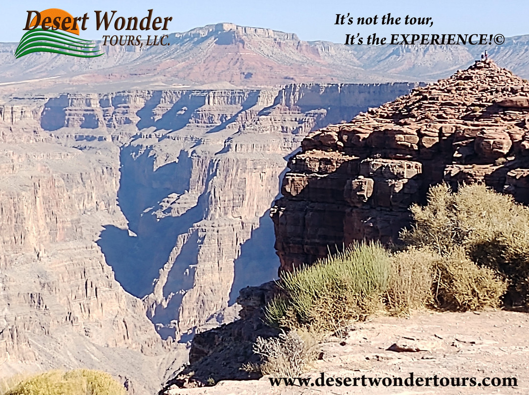 Desert Wonder Tours, LLC景点图片