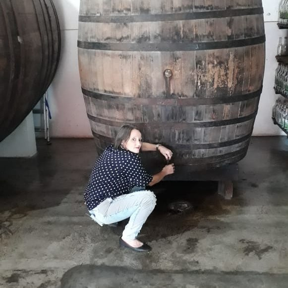 Engenho Cavalo de Troia-Lindoia必去景点