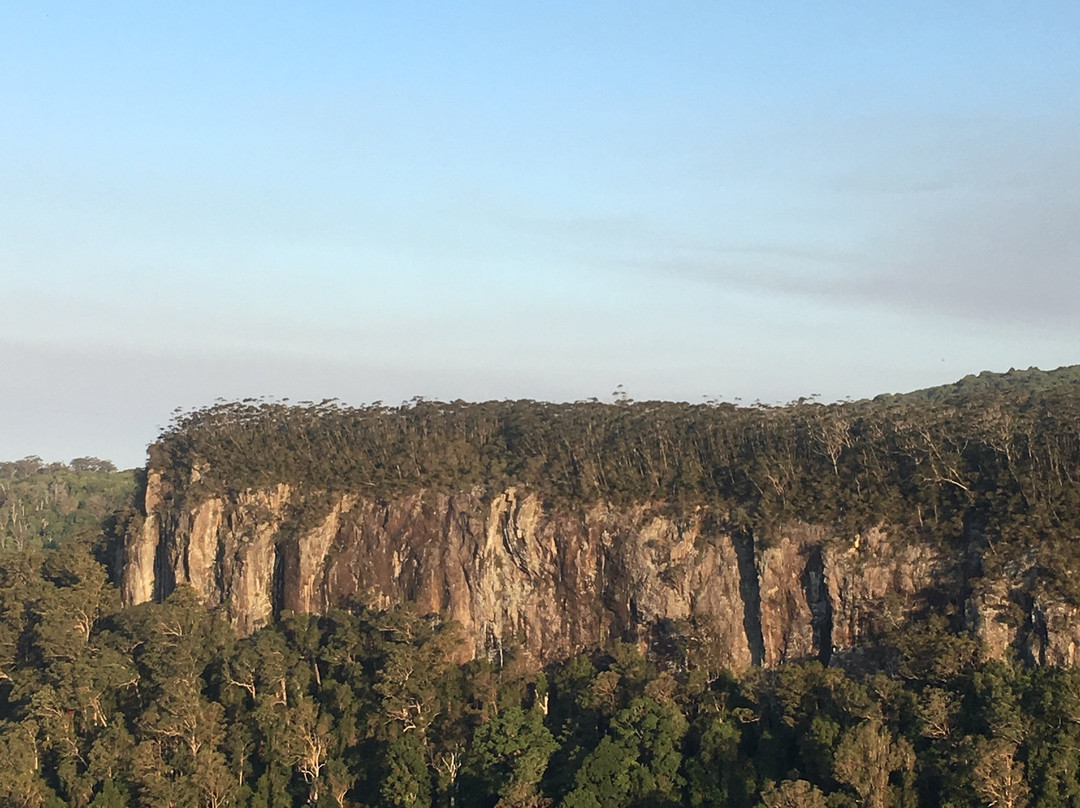 Rosellas On Springbrook主图