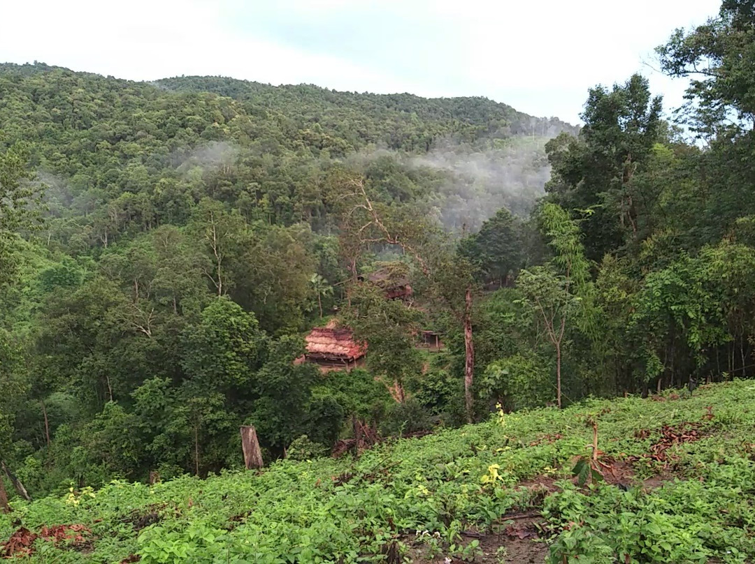 Mae Lan Kham Homestay主图