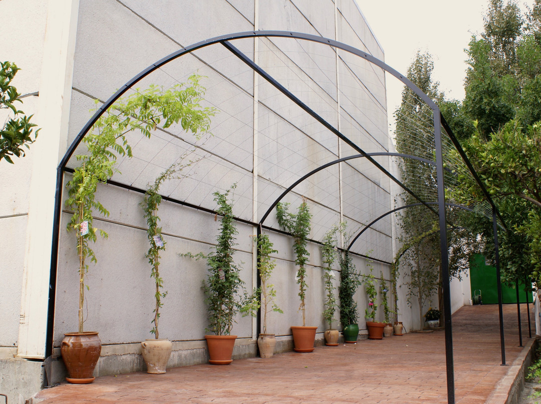 Finca La Cañota主图