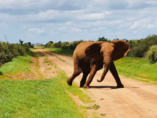 Paul Safaris-蒙巴萨必去景点