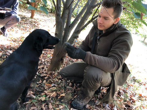 Ersek Eden-Rabakecol必去景点